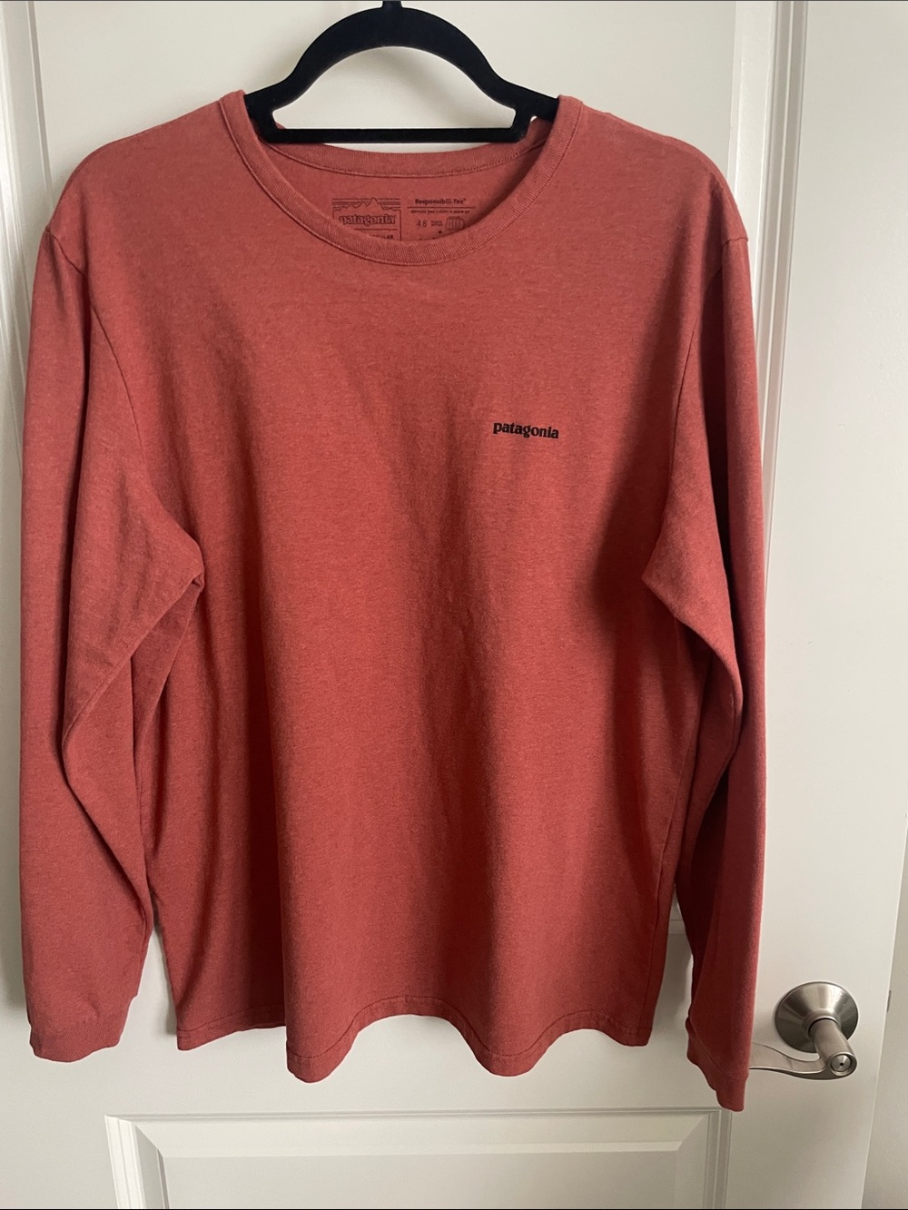Patagonia Men's Rust Long Sleeve Graphic T-shirt